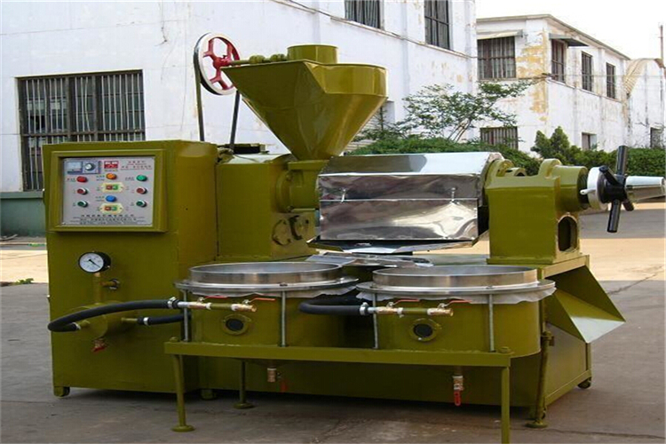 Hot Screw Oil Press Machine